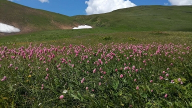 Фото из архива Клуба