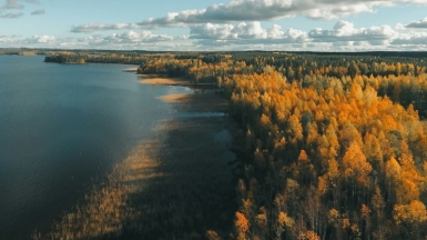 Фото Joni Kuusisto для Unsplash.com