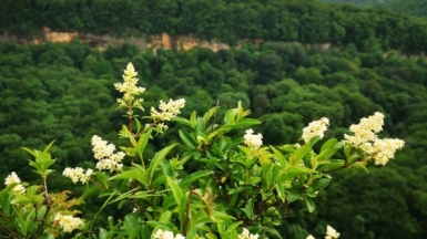 Фото наших Странников