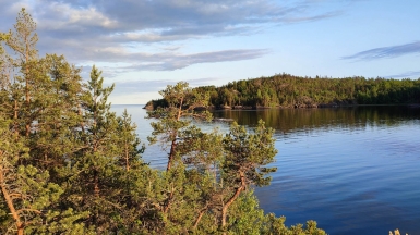 Фото Галины Шелудько