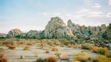 Фото: Victor Yuyang Luo, unsplash.com