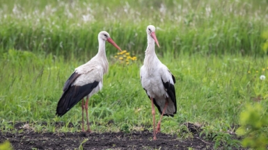 Фото нашего гида Михаила Верёвченко