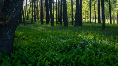 Фото нашего гида Михаила Верёвченко