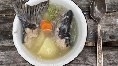 Фото Сергея Глушкова