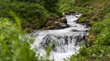 Фото из архива Клуба