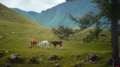 Фото нашей Странницы Светланы Соколовой
