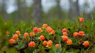 Фото: Depositphotos