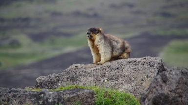 Фото нашего Странника Александра Панченко