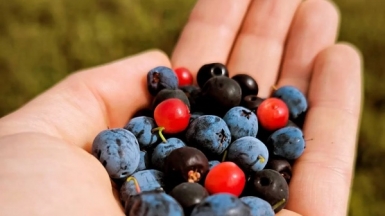 Фото наших Странников