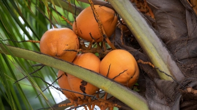 Фото: 
MARIOLA GROBELSKA, unsplash.com