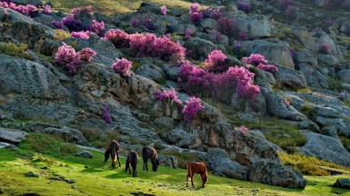 Фото: Depositphotos