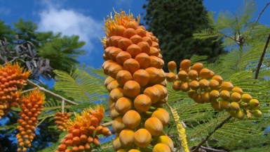 Источник: visualhunt.com