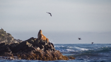 Фото: Dmitri Strakhov, visualhunt.com