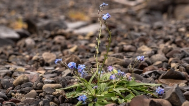 Фото нашего Странника Вабищевича Андрея Николаевича