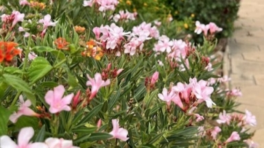 Фото: наш гид Алексей Шорец