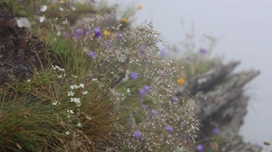 Фото: 
Igor Solkin, unsplash.com