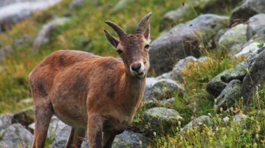 Фото наших Странников