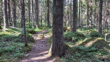 Фото нашего гида Алексея Петровского