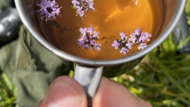 Фото наших Странников