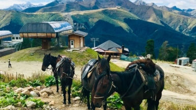 Фото наших Странников