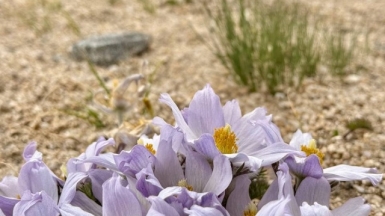 Фото из архива Клуба