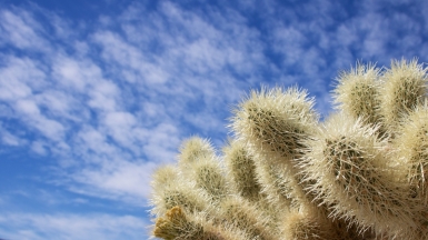 Фото: James Lee, unsplash.com