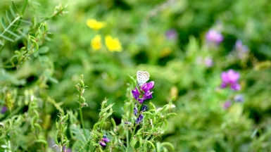 Фото нашей Странницы Светланы Менчинской