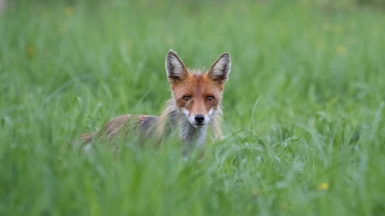 Фото нашего гида Михаила Верёвченко