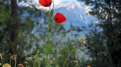 Фото: Nick Sokolov, unsplash.com