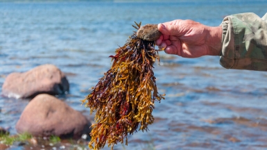 Фото из архива Клуба