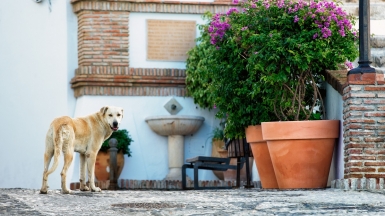 Фото: noluck, visualhunt.com