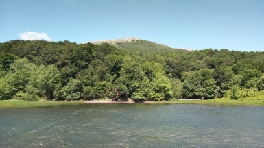 Фото нашего гида Галины Шелудько