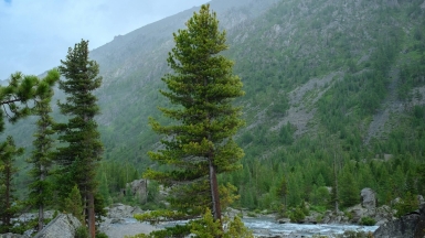 Фото нашей Странницы Марины Шумаковой