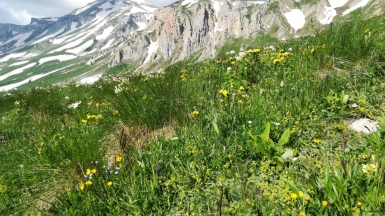 Фото нашего гида Елены Кузура