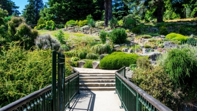 Фото: Kieran Somerville, unsplash.com