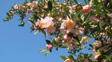 Фото нашего гида Ирины Пряничниковой