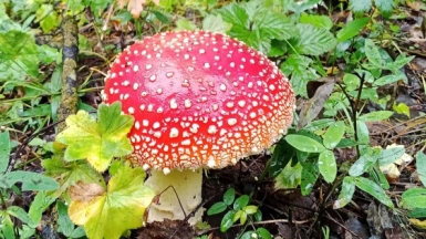 Фото нашего гида Дмитрия Могиленских