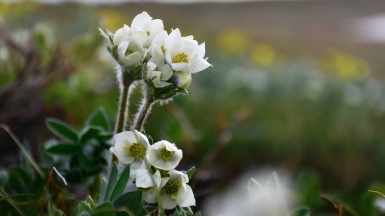 Фото нашей Странницы Светланы Соколовой
