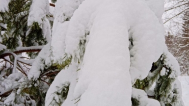 Фото наших Странников