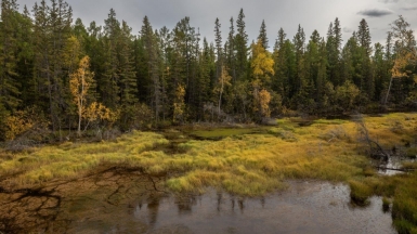 Фото нашего гида Михаила Верёвченко