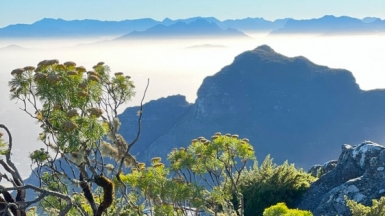 Фото: гид Алексей Шорец