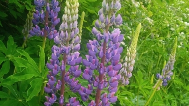 Фото наших Странников