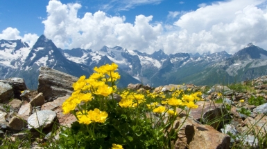 Фото: N-Hunt, visualhunt.com 