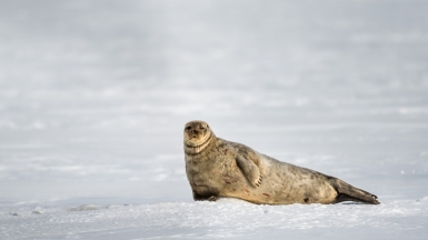 Фото Сергея Доля