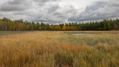 Фото нашего гида Михаила Верёвченко