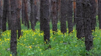 Фото нашего гида Михаила Верёвченко