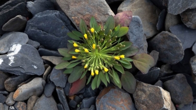 Фото нашего гида Михаила Верёвченко