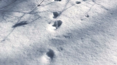 Фото наших Странников