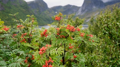 Фото: Datingjungle, unsplash.com