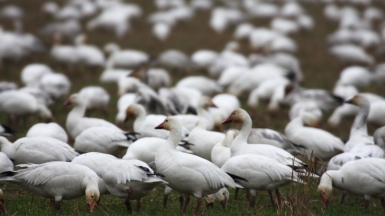 Фото: backpackphotography, visualhunt.com